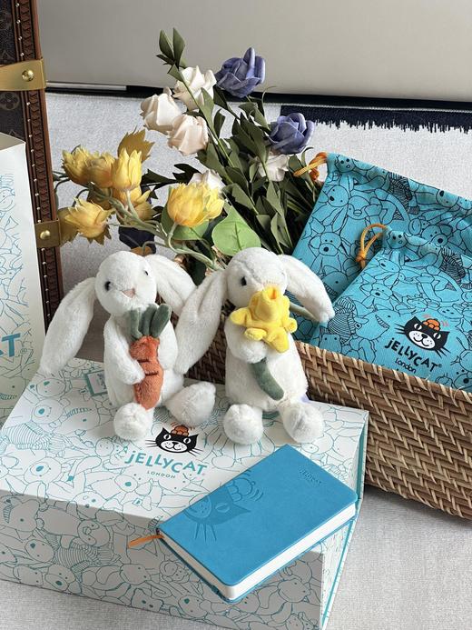jellycat新品怀抱胡萝卜和怀抱水仙花邦尼兔六一礼盒 商品图5