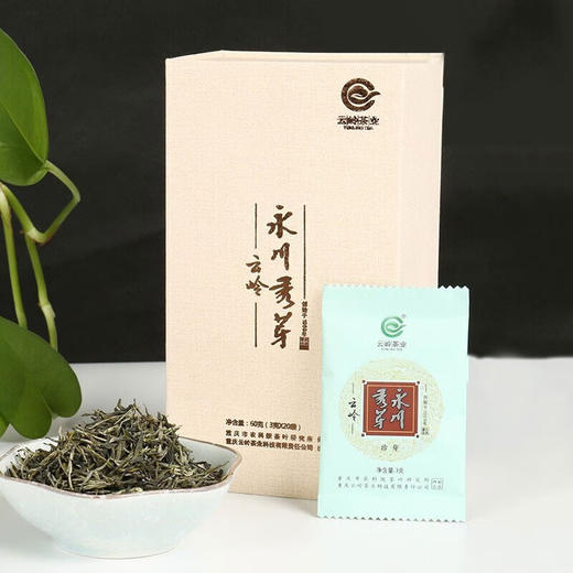 云岭茶业永川秀芽2024年新茶茶叶绿茶(珍芽)礼盒装明前头采春茶送礼 60g*1盒 商品图0