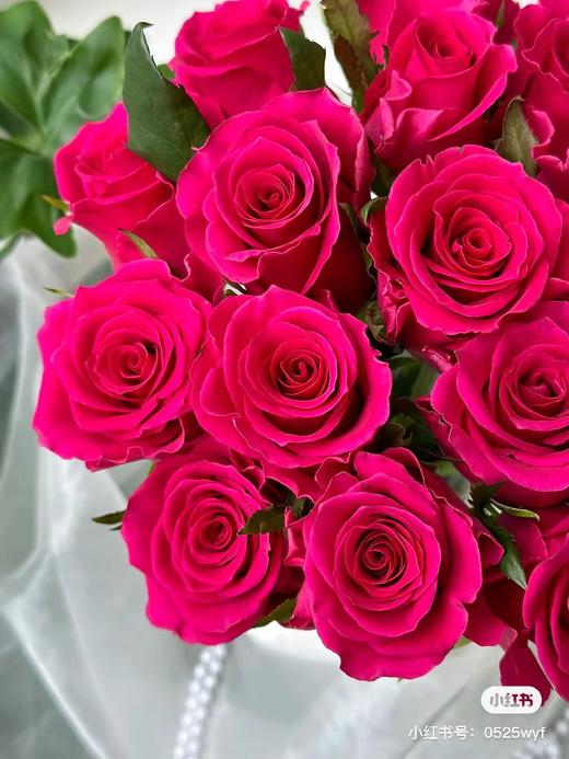 弗洛伊德高级玫瑰8支 商品图0