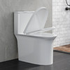 帝王洁具抽水马桶虹吸式小户型家用卫生间卫浴陶瓷静音节水坐便器TT009 商品缩略图4