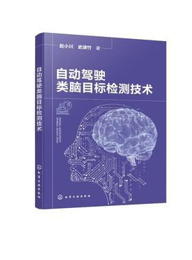 自动驾驶类脑目标检测技术