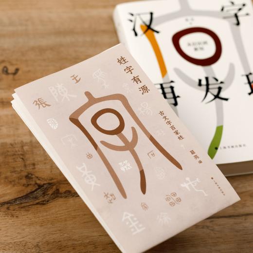 《汉字再发现：从旧识到新知》 商品图7