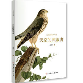 天空的流浪者
