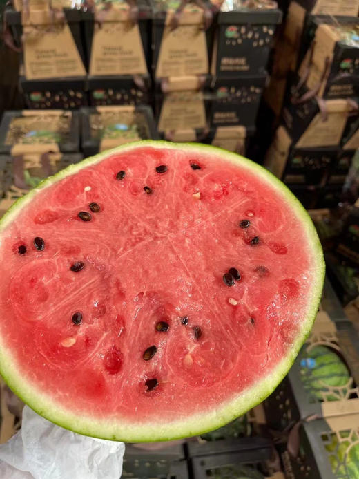 上海南汇8424西瓜金奖桃咏 商品图2