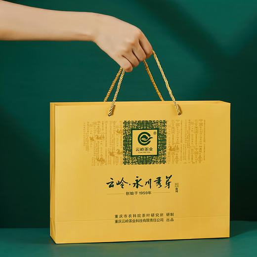 云岭茶业永川秀芽2024新茶茶叶 高端绿茶茶叶礼盒装一川重庆特产送客户 金色礼盒200g 商品图3