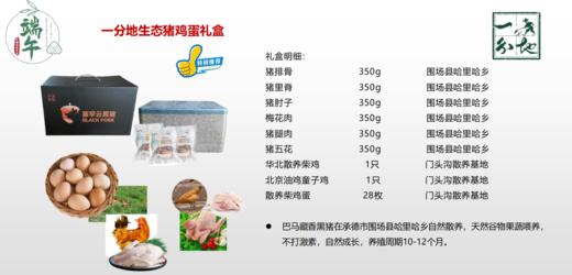 一分地生态猪鸡蛋礼盒 商品图1