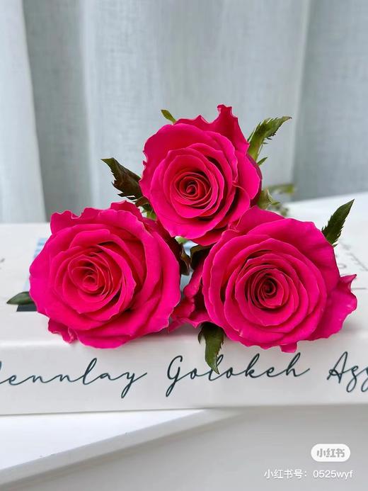 弗洛伊德高级玫瑰8支 商品图2