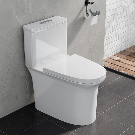 帝王洁具抽水马桶虹吸式小户型家用卫生间卫浴陶瓷静音节水坐便器TT009 商品图2