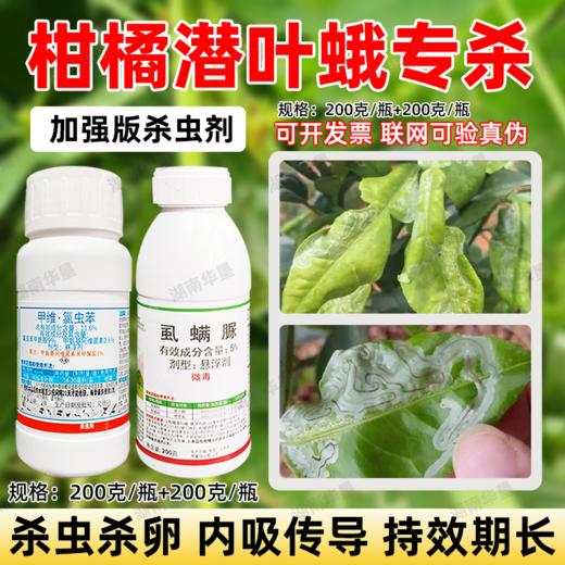 潜叶蛾专杀套餐正品虱螨脲杀卵柑橘果树锈壁虱潜叶蛾专用杀虫剂 商品图1