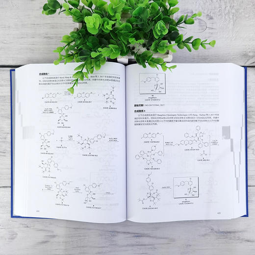 新药化学全合成路线手册（第二辑） 商品图5