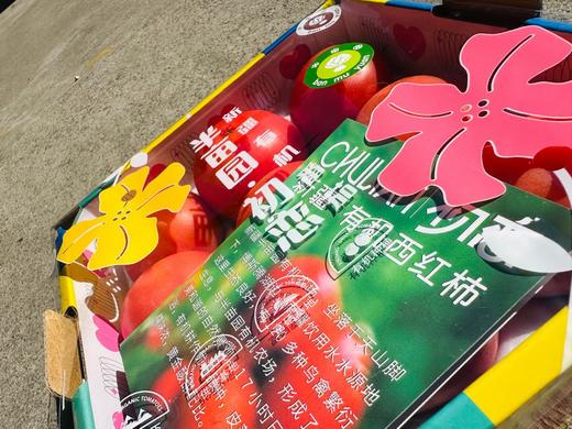 半亩园·新疆有机番茄（9个装） 商品图1
