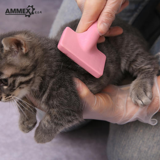 一次性PVC手套 GPX3KRT 商品图5