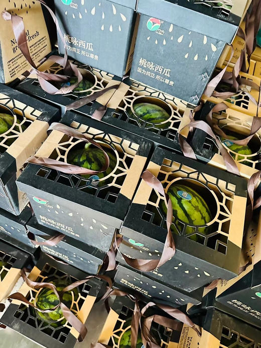 上海南汇8424西瓜金奖桃咏 商品图5