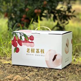 高州老树荔枝 白糖罂礼盒装