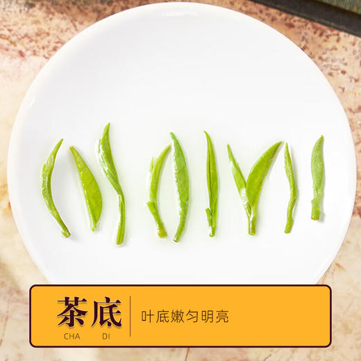 云岭茶业 永川秀芽2024新茶明前绿茶 高端(特川)茶叶礼盒装春茶重庆特产 天地盖礼盒150g 商品图8