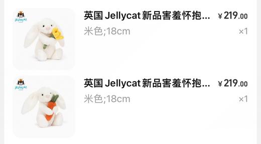 jellycat新品怀抱胡萝卜和怀抱水仙花邦尼兔六一礼盒 商品图3