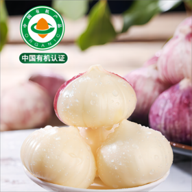 云南有机紫皮独头大蒜 2025年鲜蒜果肉饱满蒜香浓郁凉拌红烧500g起