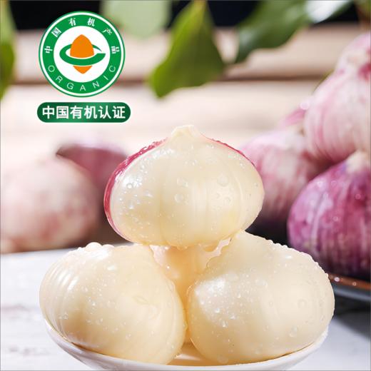 云南有机紫皮独头大蒜 2026年鲜蒜果肉饱满蒜香浓郁凉拌红烧500g起 商品图0