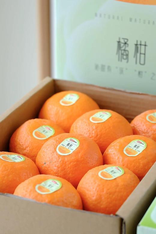 白富美橘柑 浓浓香甜的柑橘香 礼盒装 商品图12