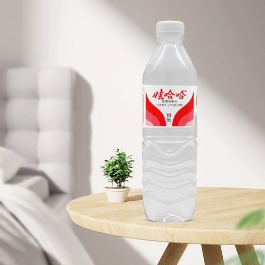 娃哈哈纯净水596ml 商品图0