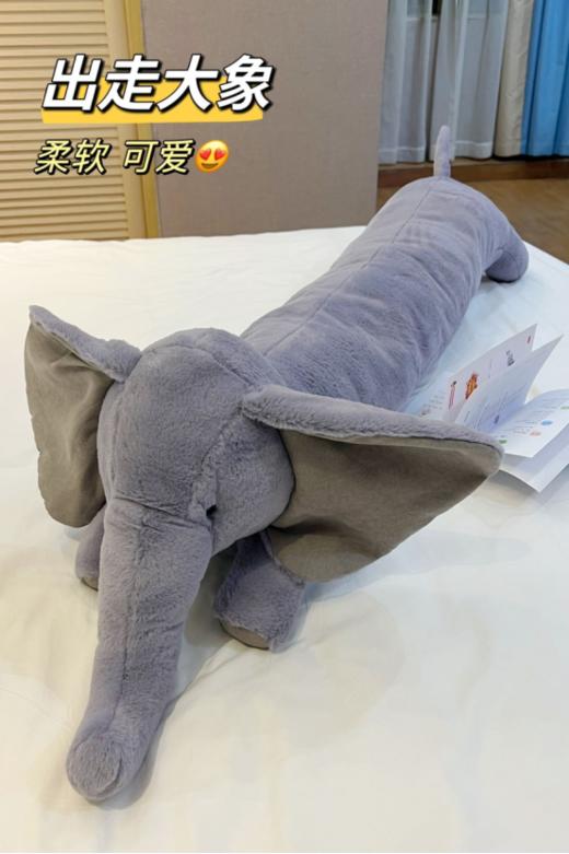 🎉【House&room 家居长条/花朵腰枕靠垫（野兽派同款）】🎈1.欧阳娜娜，井柏然同款抱枕！ 商品图3