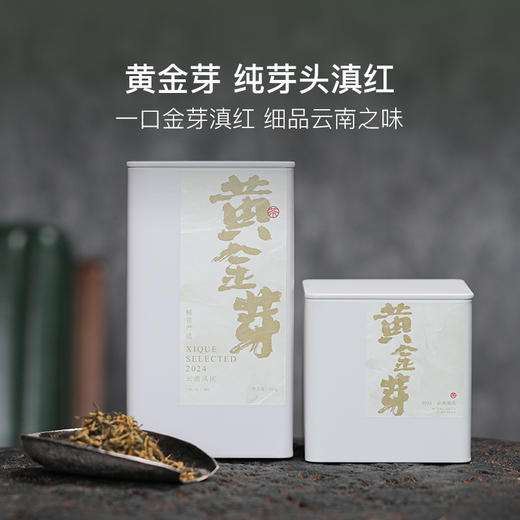 稀雀 滇红黄金芽·纯芽头 50g/罐 商品图0