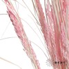 永生花材 | 山茅草深粉 商品缩略图3