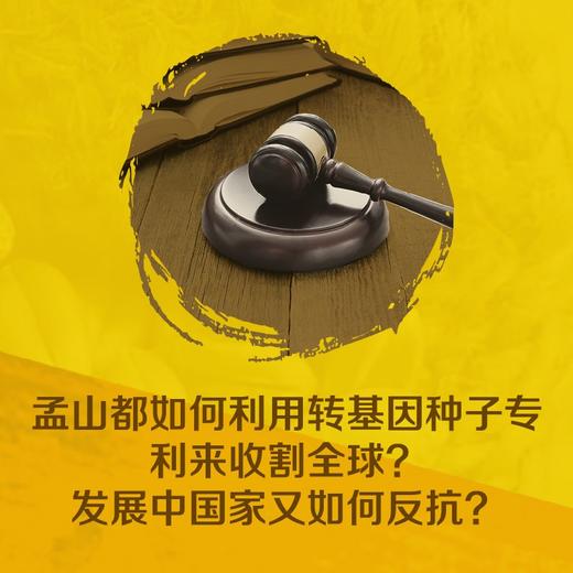 孟山都的转基因之战：孟山都与巴西、印度的三场转基因种子诉讼([美]卡琳·E.佩沙尔) 商品图3