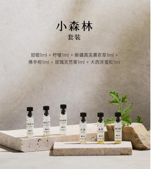 DrWong 单方精油组合试用装 天然植物香薰加湿器专用室内扩香 商品图1