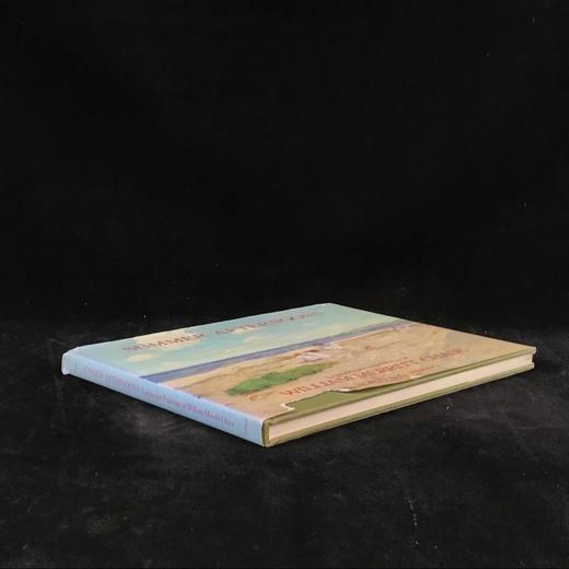 夏日午后：威廉·梅里特·蔡斯风景画集 88幅彩色37幅黑白插图 精装大16开 商品图1