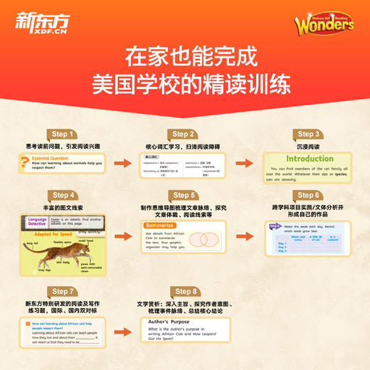 【新东方】Wonders奇迹英语分级阅读 GK-G6 商品图6