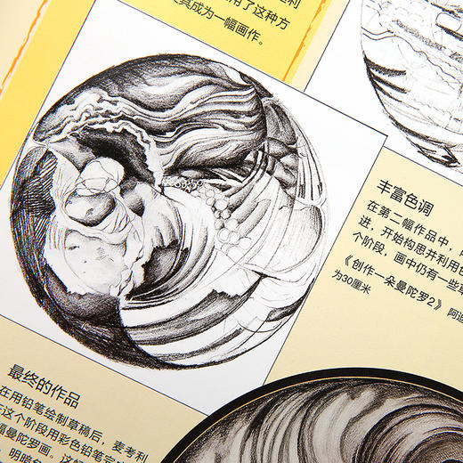 西方绘画技法经典教程《绘画中的光与影》+《绘画中的构图运用》+《绘画中的逻辑思维》可套装可单买 商品图11