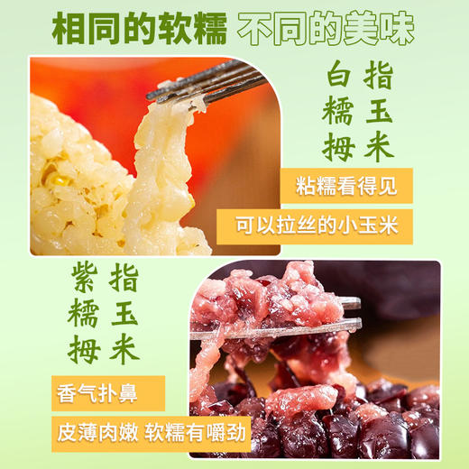 在菌屋 云南西双版纳白糯拇指玉米&紫糯拇指玉米500g/袋 3分甜 7分糯 非转基因老品种 商品图8