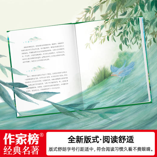 作家榜名著：夏日走过山间（美国版《阿勒泰的角落》！心浮气躁想要逃离现实生活？让大自然的神奇力量治愈你！当红作家刘子超全新译本！） 商品图3