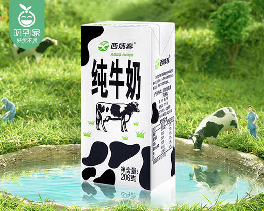 西域春纯牛奶（苗条砖）/1箱（206g*20盒）生产日期：10月13日左右 商品图5