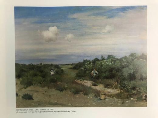 夏日午后：威廉·梅里特·蔡斯风景画集 88幅彩色37幅黑白插图 精装大16开 商品图14