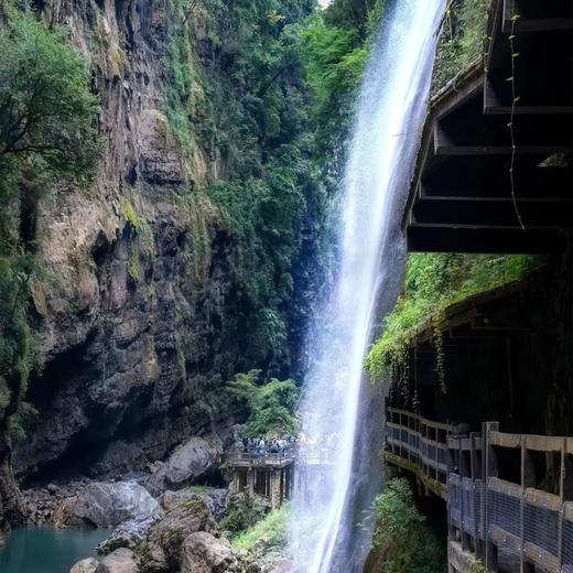 边玩边养老丨漫游恩施， 走进人间仙境，领略自然奇观，览恩施大峡谷奇观！ 商品图1