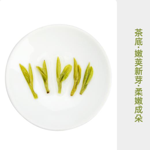 【春茶季】艺福堂明前特级西湖龙井茶10+品鉴装50g 商品图2