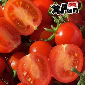甜豆小番茄 自然成熟 颗颗爆汁