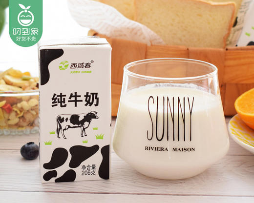 西域春黑砖纯牛奶（206g*20盒/箱）生产日期:10月31日 商品图2