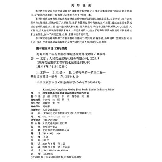 跨海集群工程新型基础设施建设规划与实践 商品图4