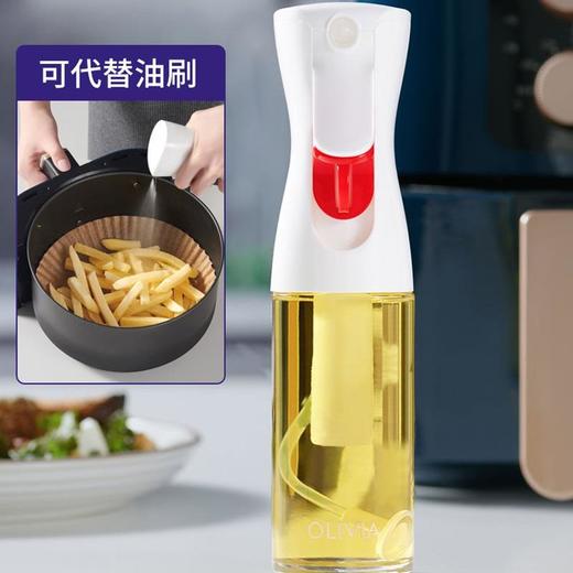 Flairosol雾化喷油瓶，一次一克油 商品图1