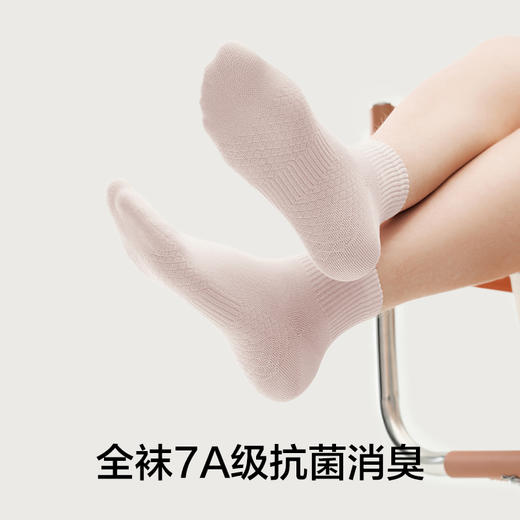 【肌理按摩】有棵树纯棉7A级抗菌女士中筒袜5双装-S3011 商品图2