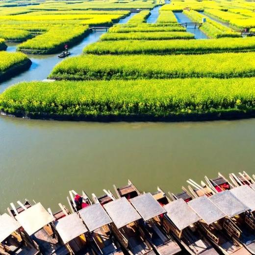 边玩边养老丨漫游扬州，看花海游古巷，玩转江南四城，赏春日江南好风光！ 商品图3