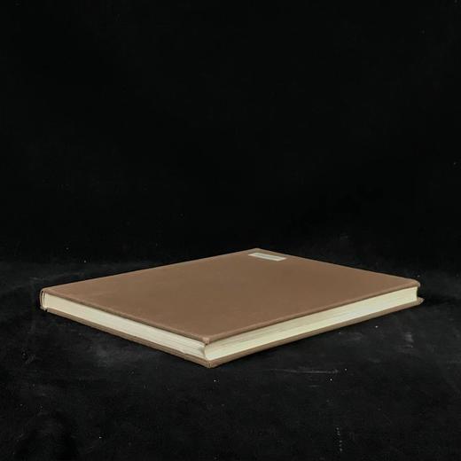 托马斯·罗兰森水彩画与草稿图集 209幅插图（16幅彩色） 精装16开 商品图1