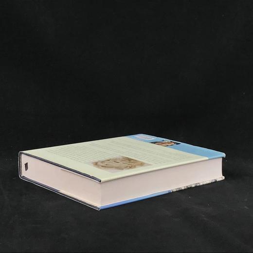 奥德赛：寻找荷马的伊萨卡 数百幅插图 精装16开 商品图2