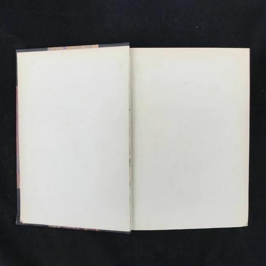 1890年 钱伯斯百科全书（卷6） 约百幅版画插图 真皮精装16开 商品图2