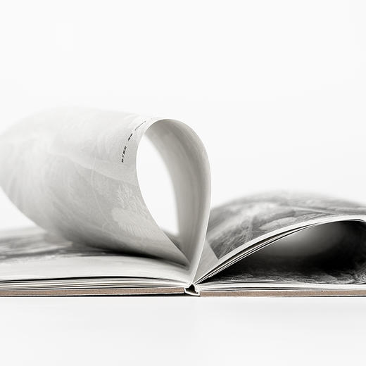 《自然灰：马平植物生态画集》 商品图3