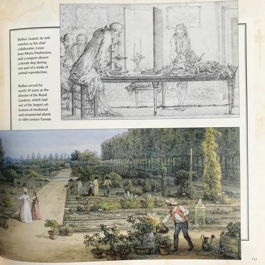 理性时代的生活：法国1660-1800 百余幅彩色插图 精装16开 商品图11