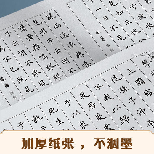 墨点字帖 静心手抄小楷描红诗经  成人毛笔字书法纸初学者小楷入门软笔描红字帖(李亲惠) 商品图4